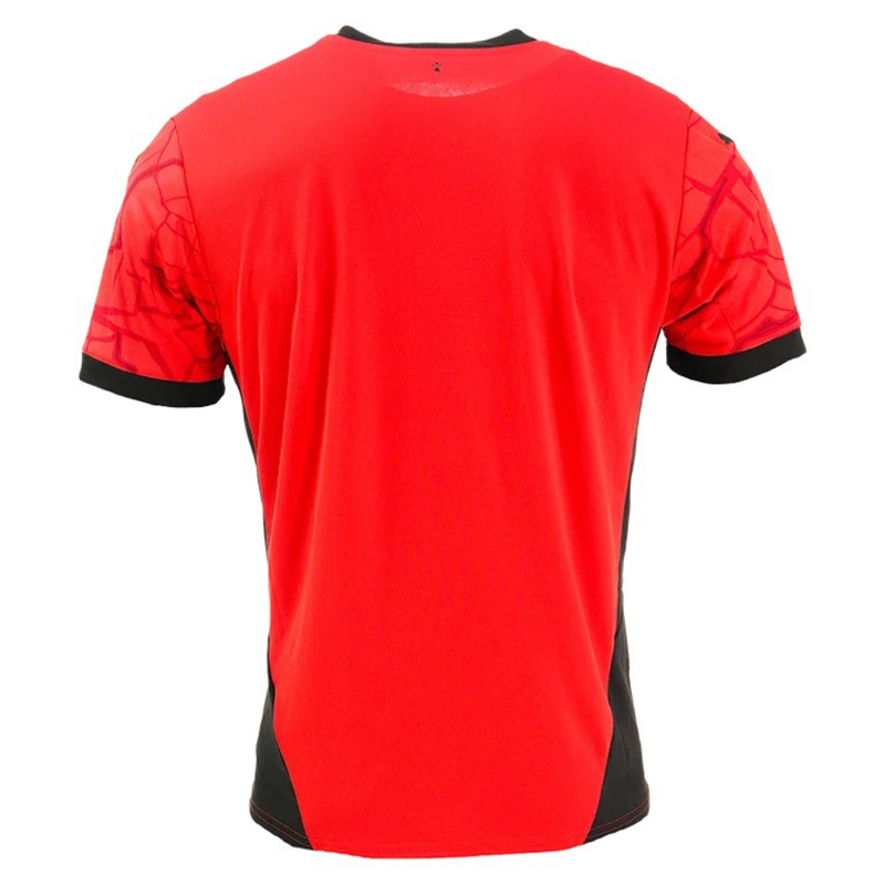 Stade Rennais home 24/25