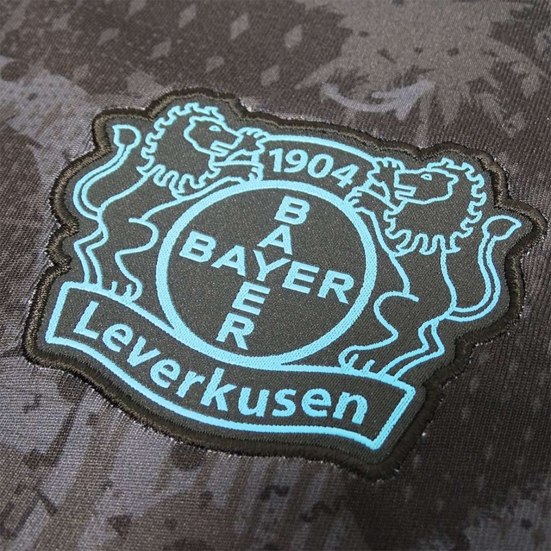 Bayer 04 Leverkusen third 24/25